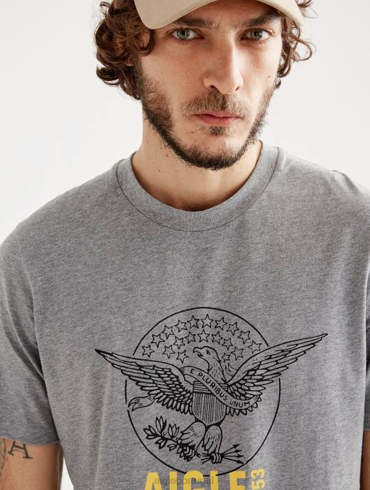 Aigle homens camiseta estampada com gola redonda urze cinza roupas D4DF54